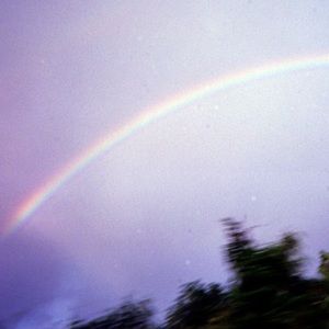 Meet your Posher, Ginger